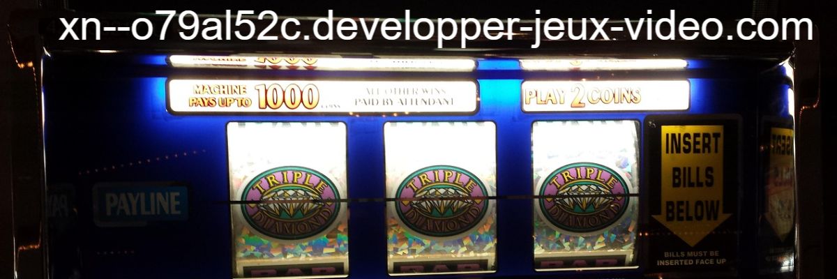 xn--o79al52c.developper-jeux-video.com